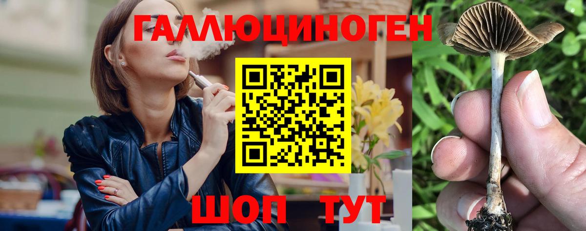 Псилоцибиновые грибы GOLDEN TEACHER  Вход с VPN  Псилоцибиновые грибы Magic Shrooms  Киреевск 